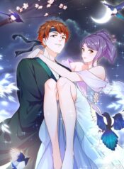 Metropolitan System Cover