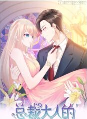 The President’s Lovely Two-Faced Wife Cover