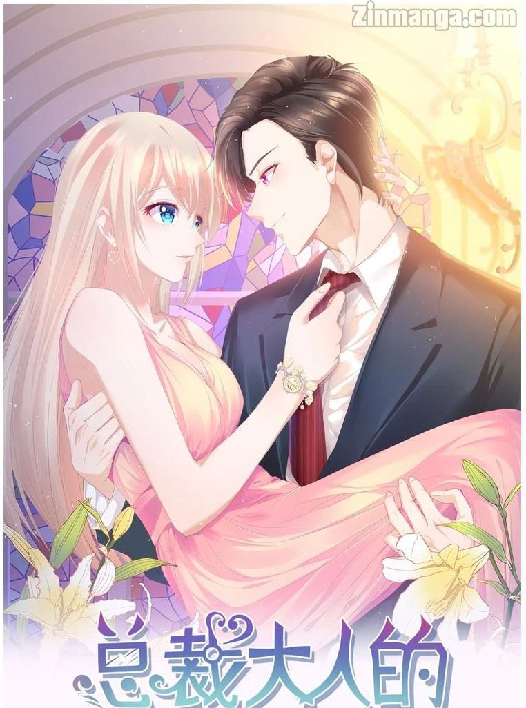 The President’s Lovely Two-Faced Wife Cover