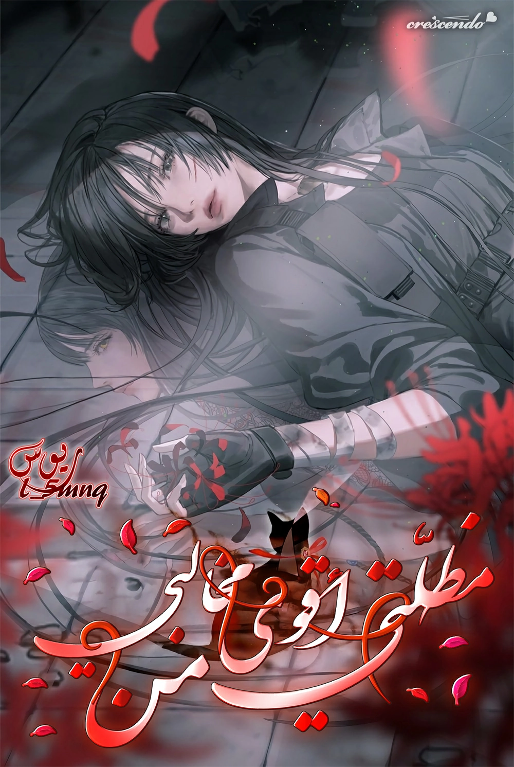 LV. 99 The Princess of Dark Flare Cover