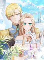 the noble pirate Cover