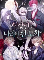 White rabbit in wonderland Cover