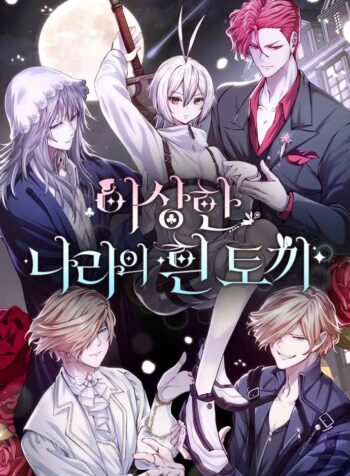 White rabbit in wonderland Cover