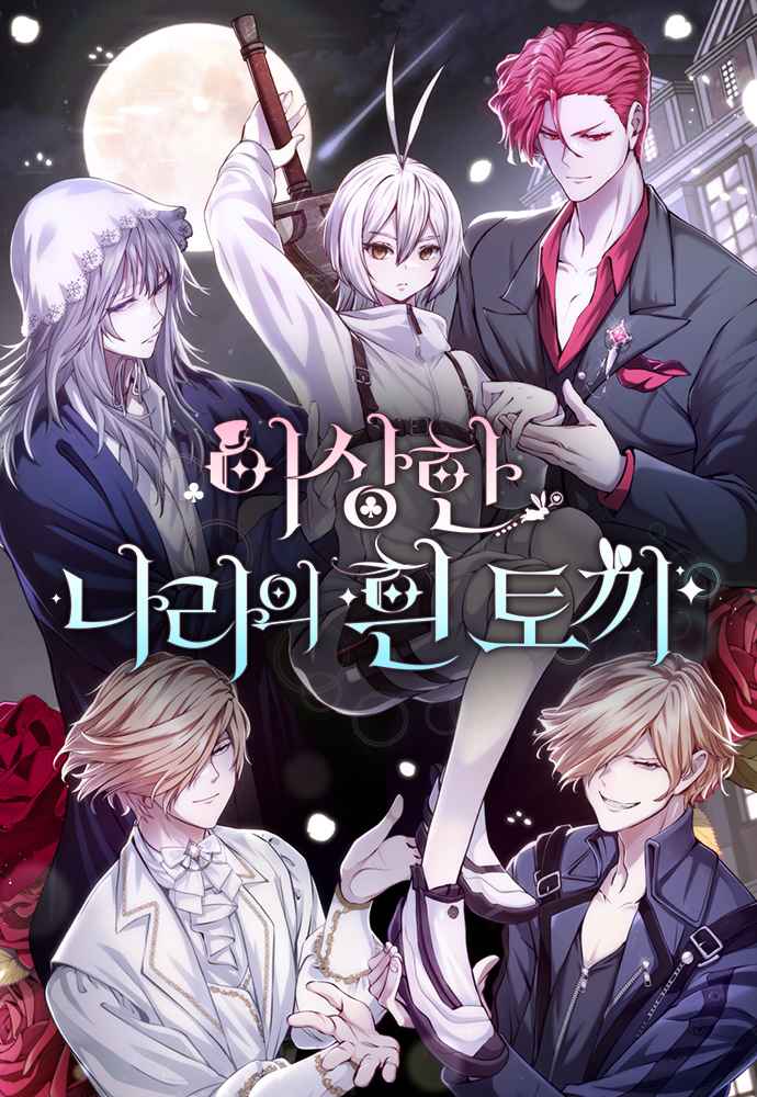 White rabbit in wonderland Cover