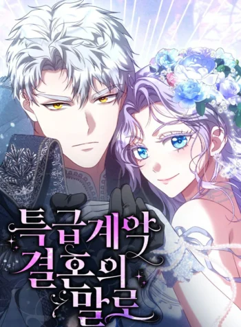 Special contract marriage Cover