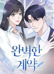 Perfect contract Cover