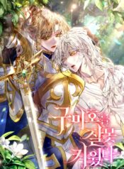 I Raised a Nine Tailed Fox Wrongly Cover