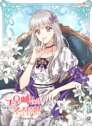 beware of the brothers Cover