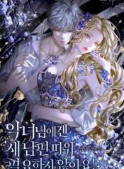 The Villainess Doesn’t Need A New Husband! Cover