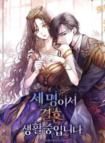 The Three Are Living a Married Life Cover