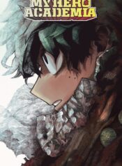 boku no hero colored Cover