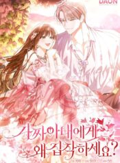 Why Are You Obsessed With Your Fake Wife? Cover