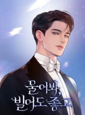 Cry or Better Yet Beg Cover