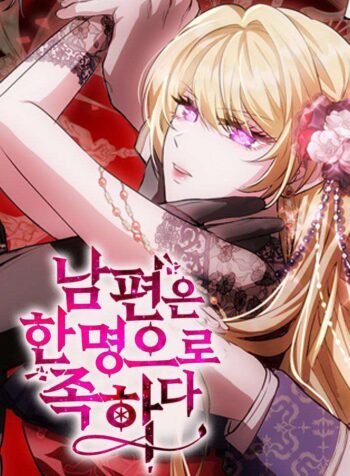 One Husband is Enough Cover