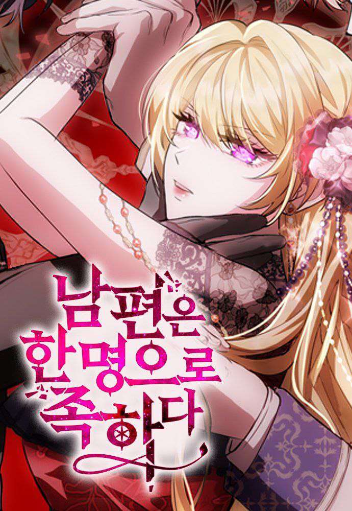 One Husband is Enough Cover