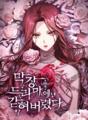 I’m trapped in a terrible drama Cover