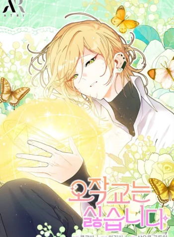 I don’t want to be a magip bridge Cover