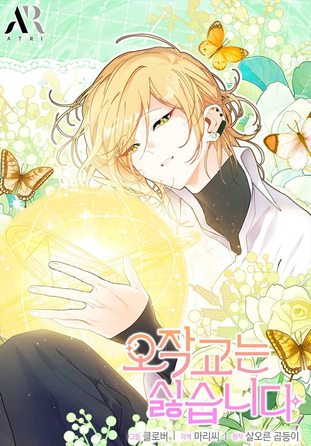 I don’t want to be a magip bridge Cover