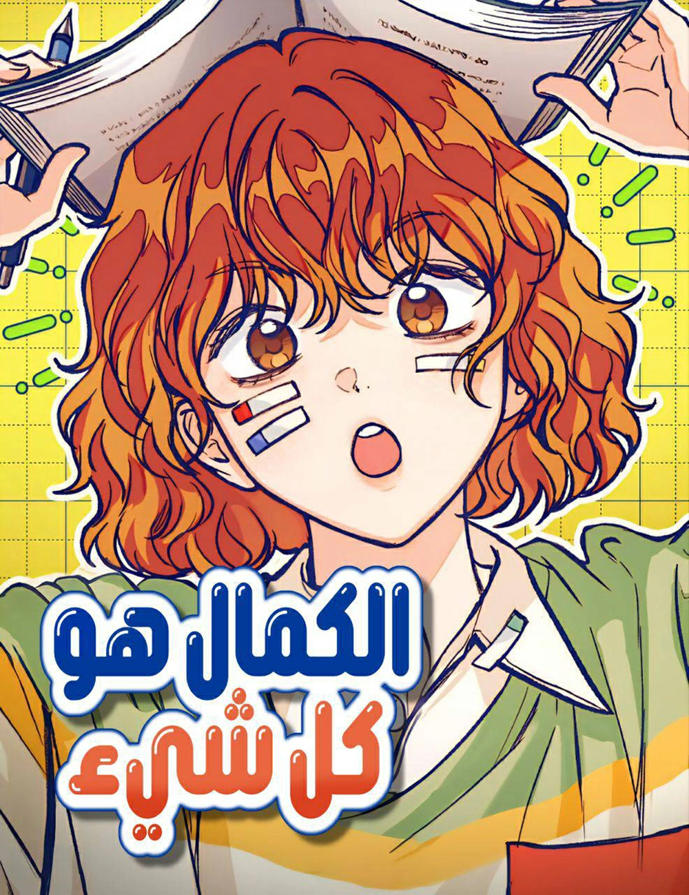 Perfection is everything Cover