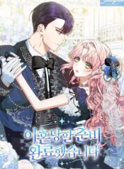 I am ready for divorce Cover