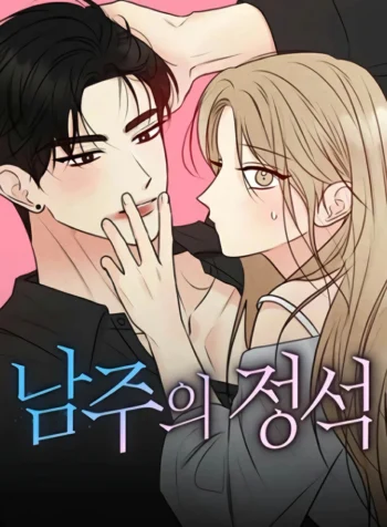 The Perfect Male Lead Cover