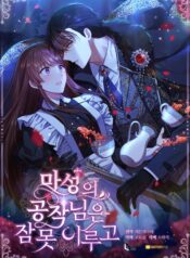 The Devilish Duke Can’t Sleep Cover