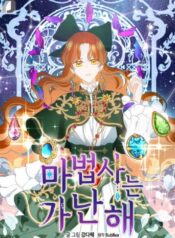 The Wizard is Poor Cover