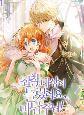 The Object of your Obsession is Wrong, Lord of the Tower! Cover