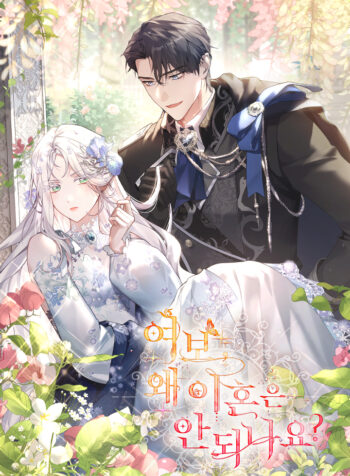 Honey, Why Can’t We Get a Divorce? Cover