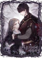 Like the Wind on a Dry Branch Cover