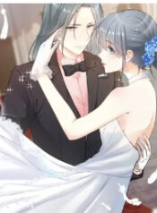 Hidden marriage Cover