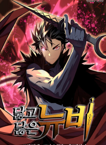 Worn and Torn Newbie Cover