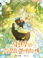 I Was Just Having Fun With the Time Limit Cover