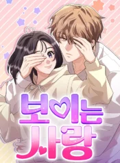 Visible love Cover