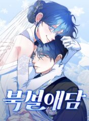 North Snow Love Story Cover