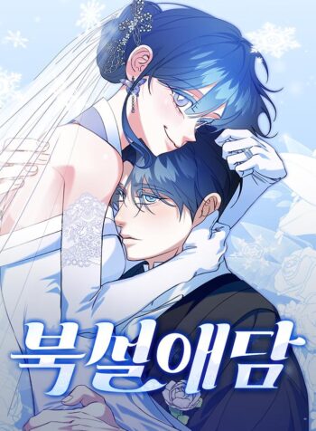 North Snow Love Story Cover