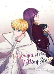 The Knight of the Falling Star Cover