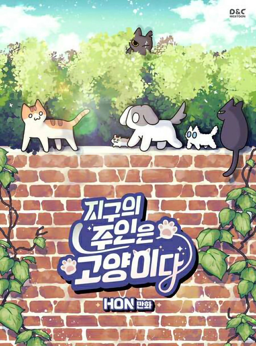 Cats Own the World Cover